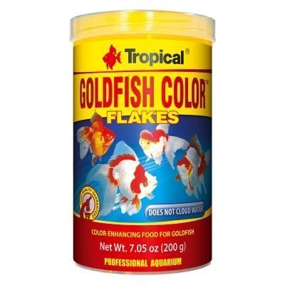Tropical Goldfish Color