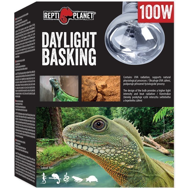 Крушка DayLight 100W Repti Planet