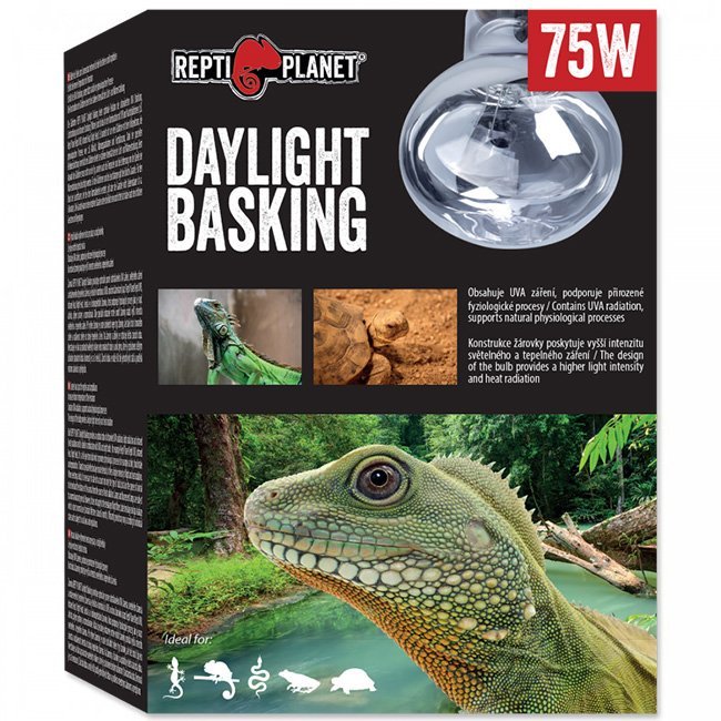 Крушка DayLight 75W Repti Planet