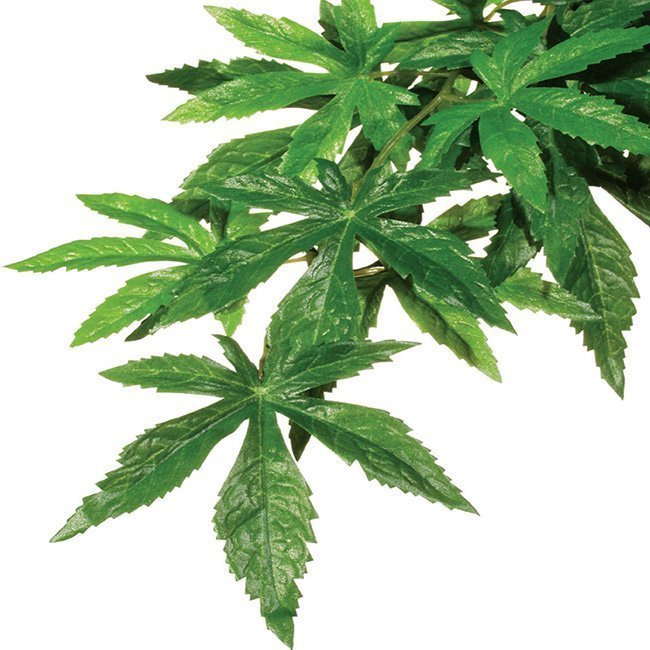 Изкуствено Растение Exo Terra Лиана Abutilon Small